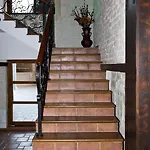 семеен опера