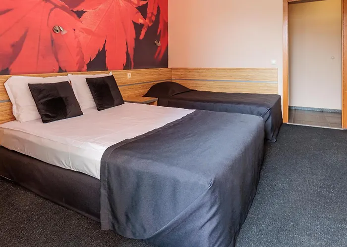 Hotel семеен опера 3*