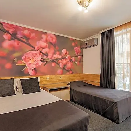 семеен опера 酒店 3*
